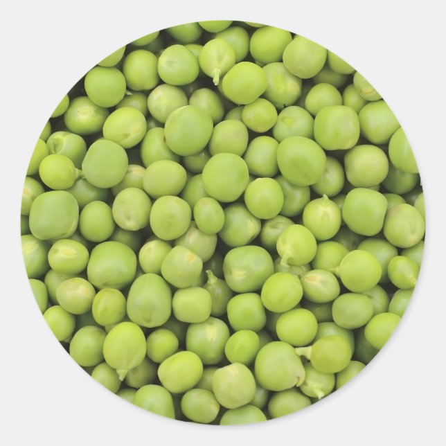 Greean peas / Pisum sativum Classic Round Sticker (Front)