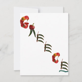 Greece Chilli Peppers