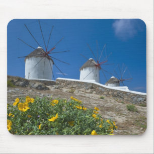 Greece, Cyclades Islands, Mykonos, Flowers near Mouse Pad