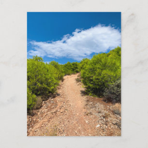 Greece, Hiking Trail Surrounded by Lush Greenery, Holiday Postcard