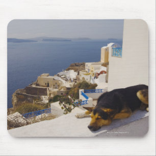 Greece, Santorini Island, Oia City, dog sleeping Mouse Pad