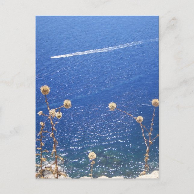 Greek Blue Sea  Postcard (Front)