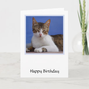 Greek Cat Birthday Card