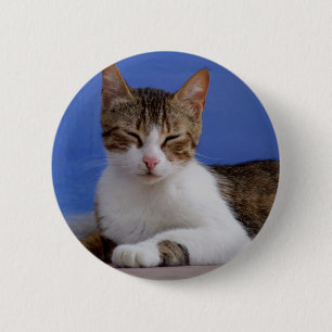 Greek Cat Button
