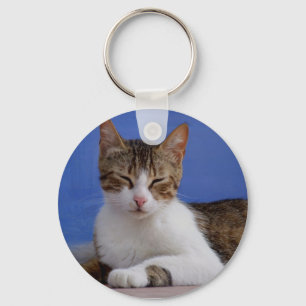 Greek Cat Keychain