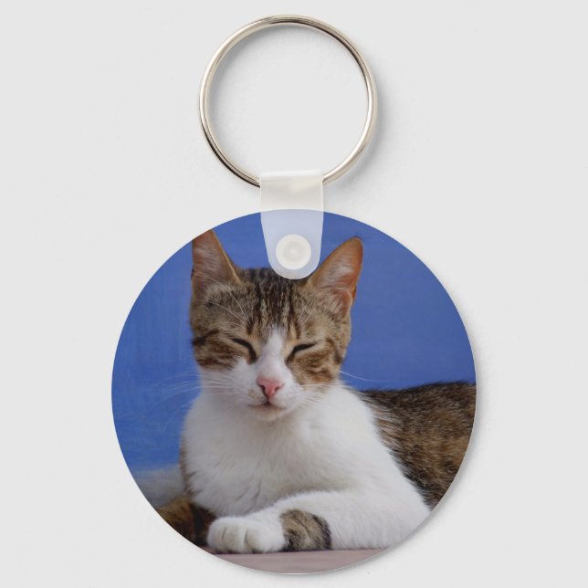 Greek Cat Keychain (Front)