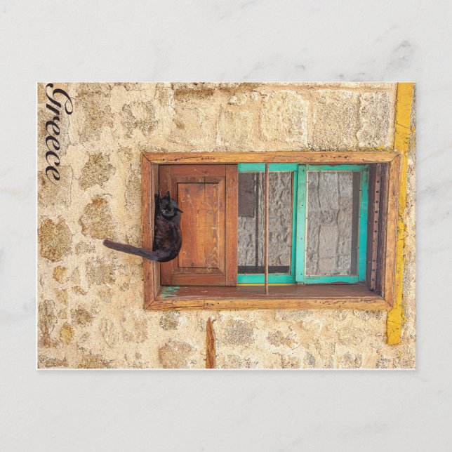 Greek cat postcard (Front)