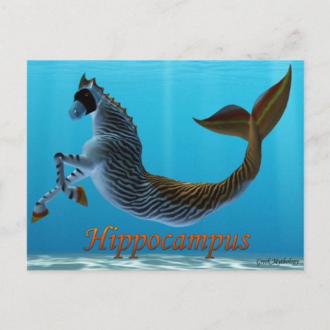 Greek Mythology Postcards: Hippocampus Postcard (Front)