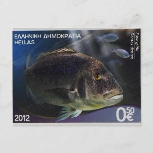 Greek postage stamp Common dentex   Postcard (Front)