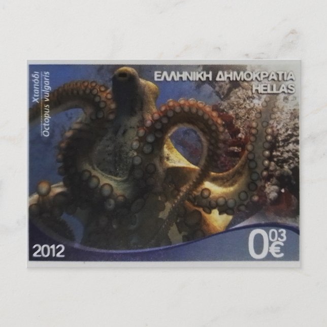 Greek postage stamp Common octopus    Postcard (Front)