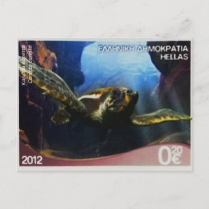 Greek postage stamp Loggerhead Turtle Postcard
