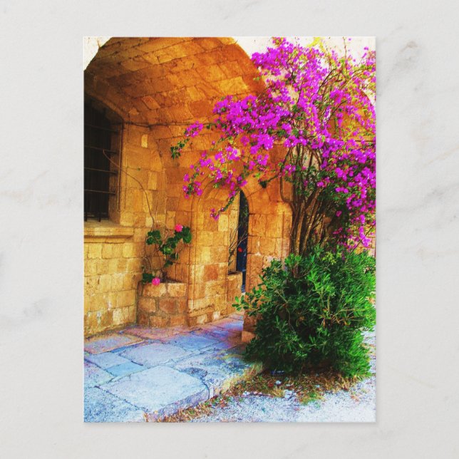 Greek stone house - old wooden door Bougainvillea Postcard (Front)