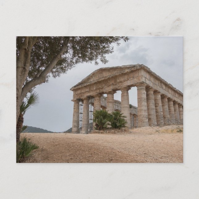 Greek temple at Segesta, Sicily Postcard (Front)