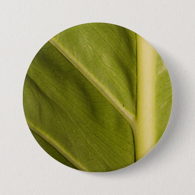 Green 01 7.5 cm round badge (Front)