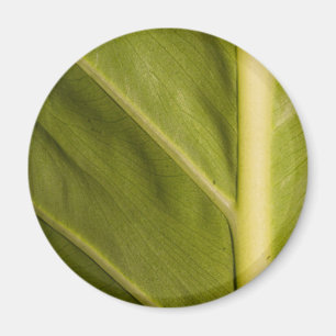 Green 01 magnet