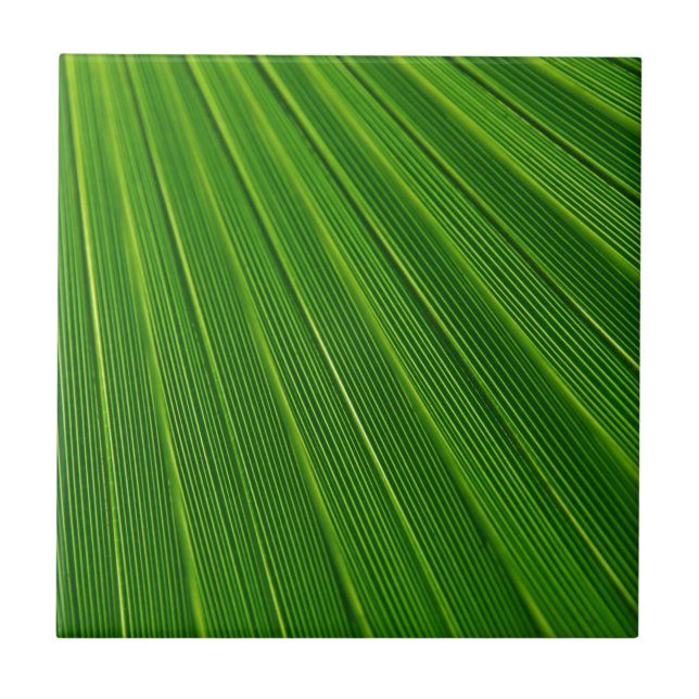 Green Abstract Background Tile (Front)
