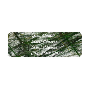 Green Abstract Fractal Return Address Sticker