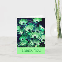 Green African Daisies Floral Thank You Card