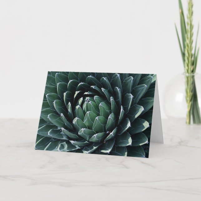 Green Agave Card (Front)