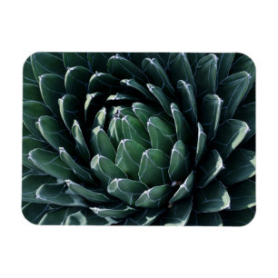 Green Agave Magnet