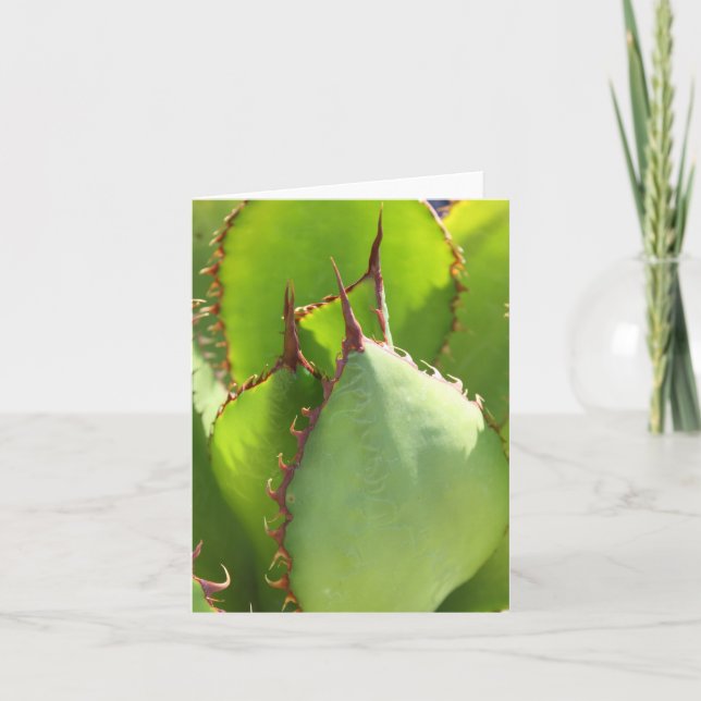 Green agave notecard (Front)