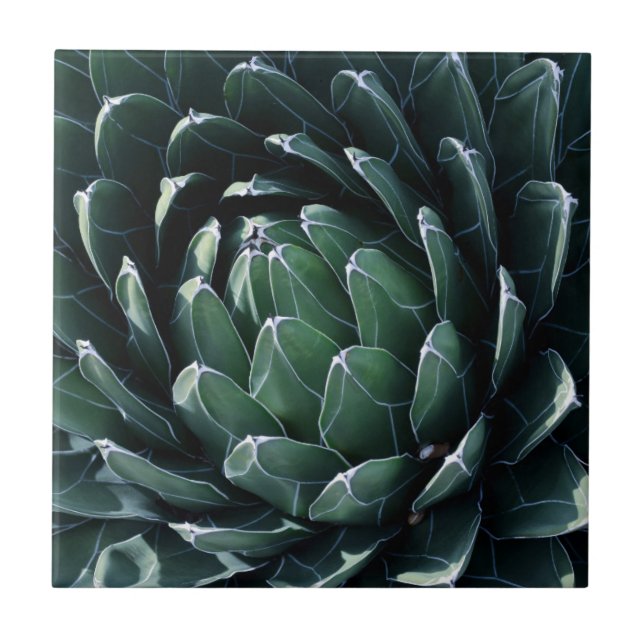 Green Agave Tile (Front)