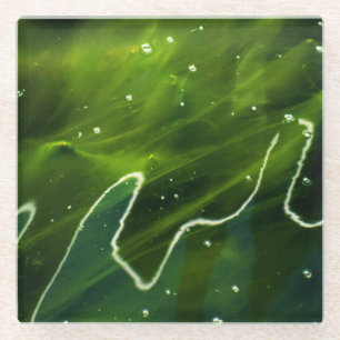 Green Algae and Water coastercnm Glass Coaster