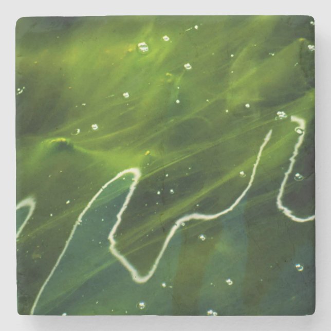Green Algae and Water coastercnm Stone Coaster (Front)