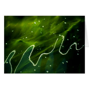 Green Algae and Water gccn