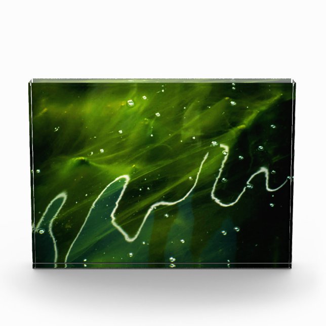 Green Algae and Water pbcnm Photo Block (Front)