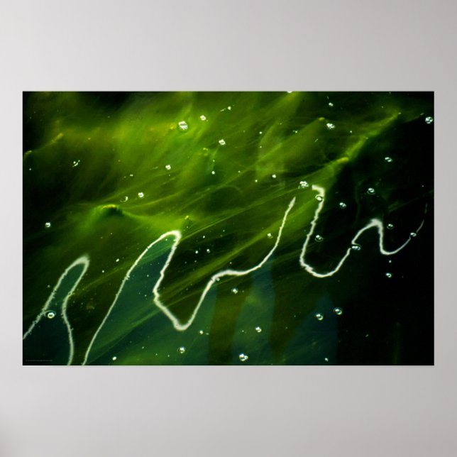 Green Algae and Water wapcna Poster (Front)