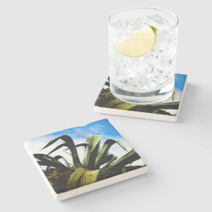 Green Aloe Plant with Bright Blue Sky Stone Coaster