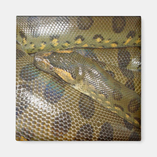 Green Anaconda Magnet