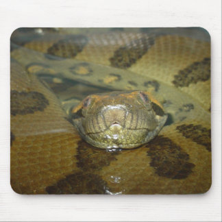 Green Anaconda Mouse Pad