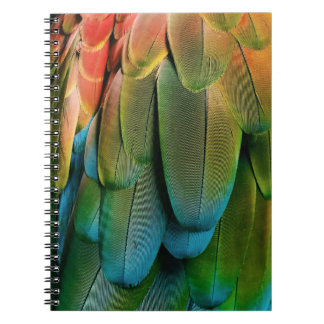Green and blue feathers notebook