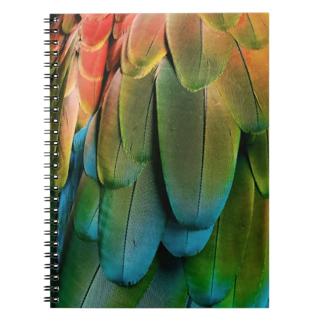Green and blue feathers notebook (Front)