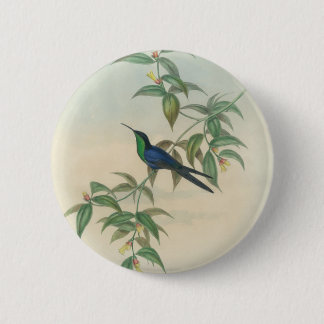 Green and Blue Gould Hummingbird 6 Cm Round Badge