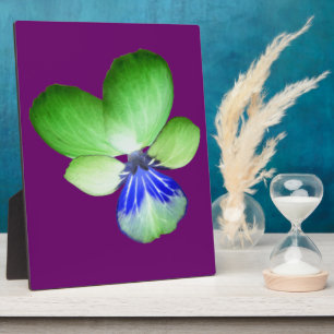Green and Blue Pansy Plaque