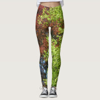 Green and Copper Beech Legging