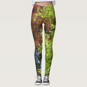 Green and Copper Beech Legging