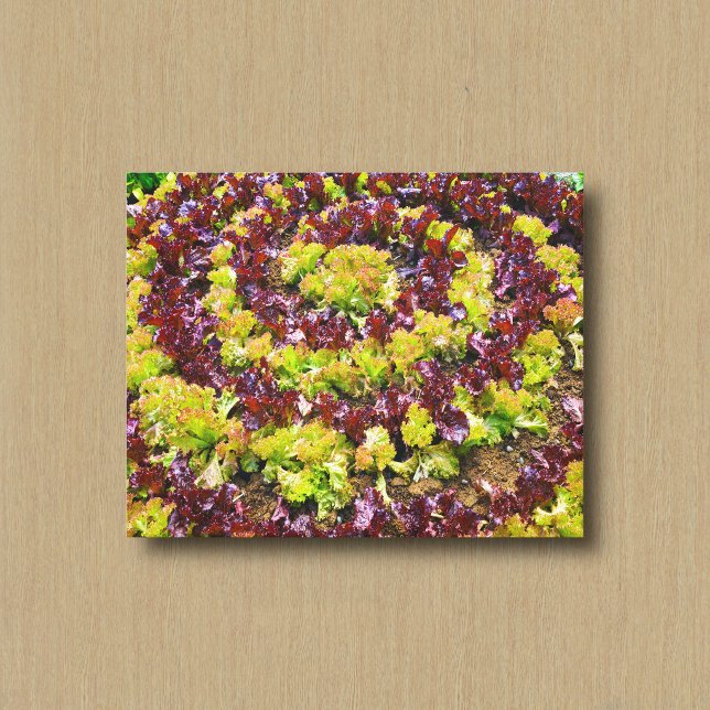 Green and Maroon Lettuce in Circular Pattern Canvas Print (Creator Uploaded)