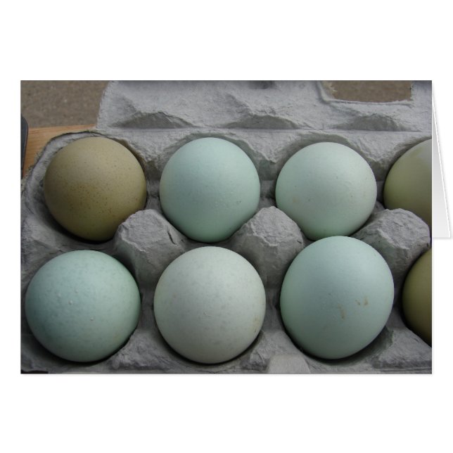 Green and Olive Eggs (Front Horizontal)