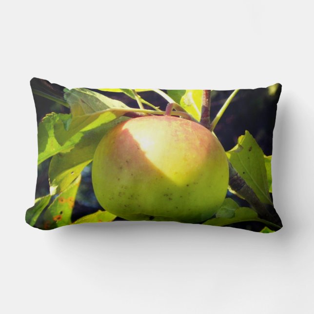 Green and pink apple lumbar cushion (Front)