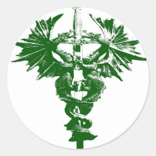 Green and White Dragons Classic Round Sticker