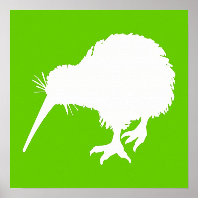 Green and White Kiwi Poster (Front)