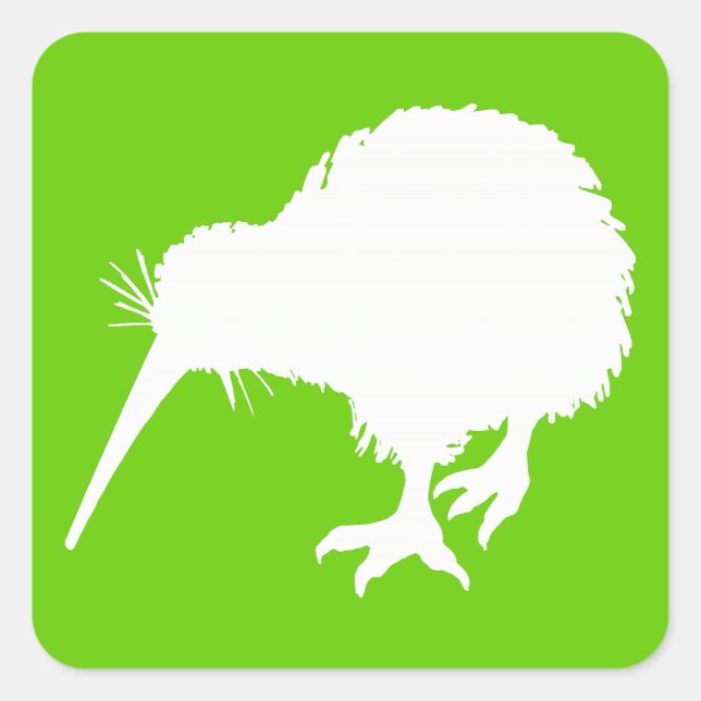 Green and White Kiwi Square Sticker (Front)