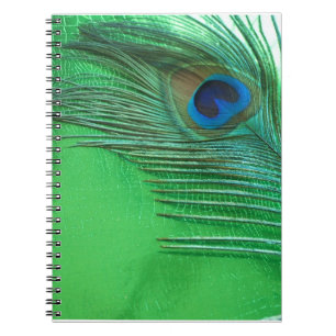 Green and White Peacock Feather Still Life Notebook