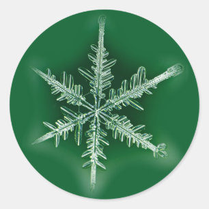 Green and White Snowflake Sticker