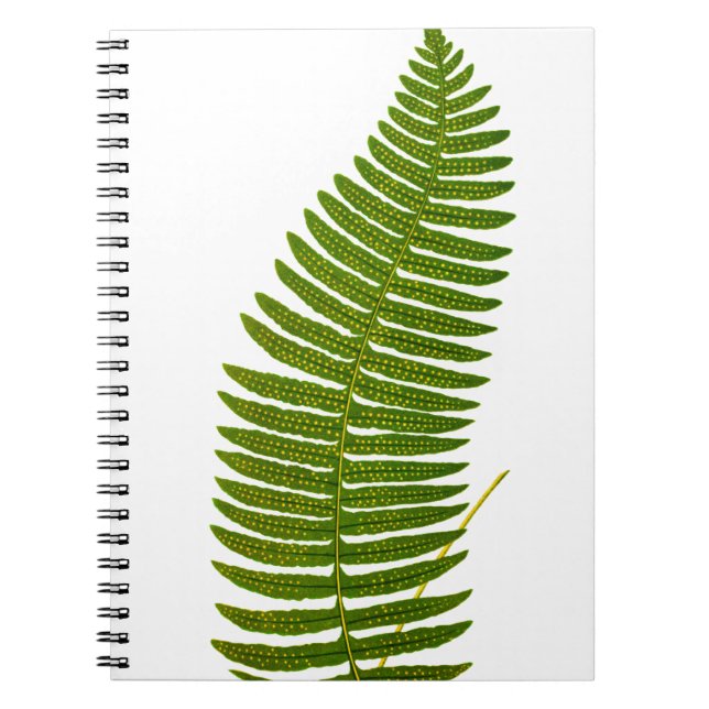 Green and Yellow Fern Leaf Botanical Illustration Spiral Notebook (Front)