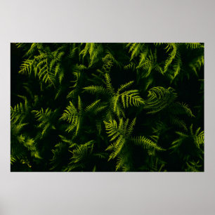 GREEN AND YELLOW LEAF PLANT POSTER
